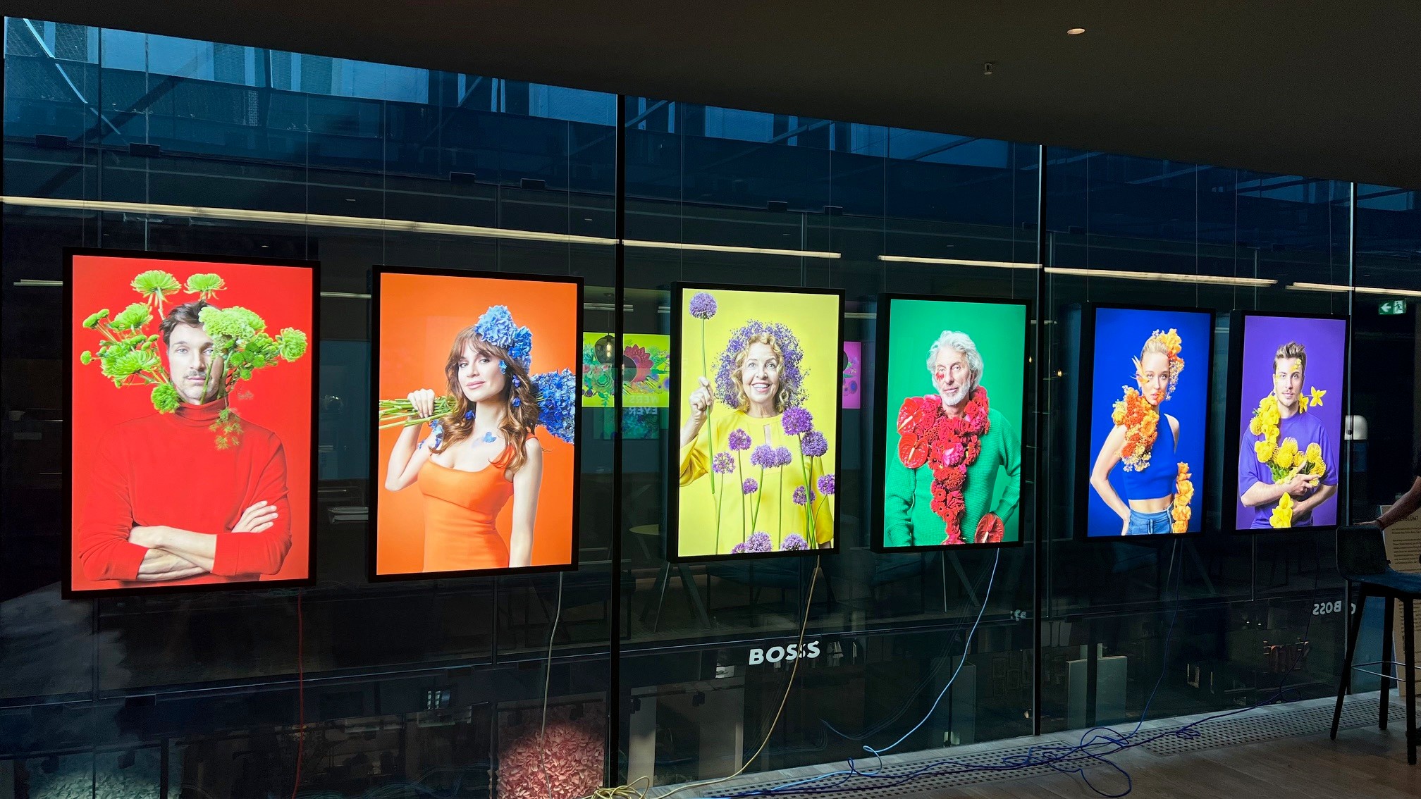 Reihe von Leuchtkästen mit hinterleuchteten Portraits in einer Ausstellungsinstallation